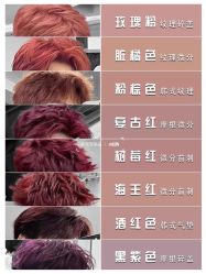 -名尚国际时尚造型