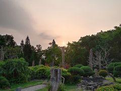 -深圳仙湖植物园