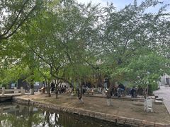 -春风习习