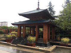 -美盛喜来登大酒店-盛宴标帜餐厅