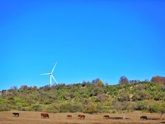 -塞罕坝国家级自然保护区