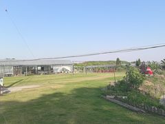 -美家乐农庄·露营·团建(大治路店)