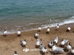 -青海湖二郎剑景区