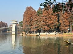 -东湖落雁景区