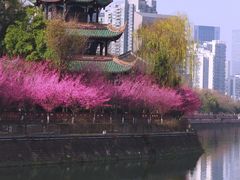 -望江楼公园