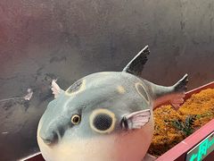 -肆月河豚·新淮扬菜·烤鸭(中关村店)