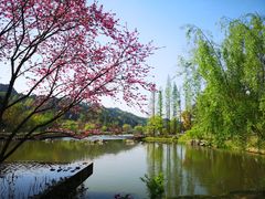 -常德桃花源景区