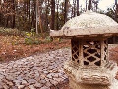 -穹窿山景区