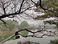 -济南南郊宾馆