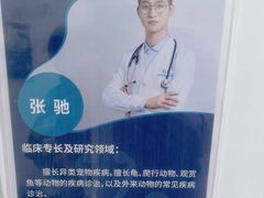 -北京观赏动物医院·24小时大型综合·猫专科·异宠专科