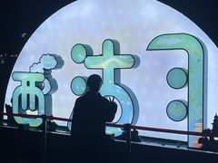 -西湖游船