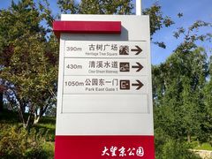 -大望京公园