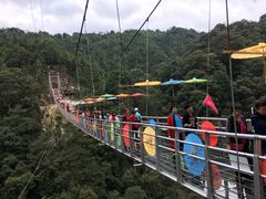 -九龙江国家森林公园