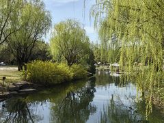-上海滨江森林公园