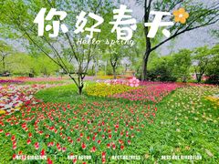 -国家植物园