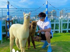 -Blue Concept Cafe&Farm·關於藍