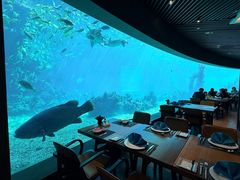 -海棠湾洲际-涛·海底餐厅·美人鱼·自助餐·海底隧道