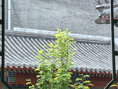 -莲池书院博物馆