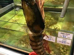 -ZF Seafood Restaurant 卓峰海鲜餐
