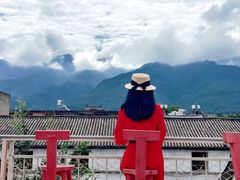 -喵屿·大理花园猫咖