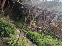 -驿舍·民國老营房院子私房菜(科学会堂店)