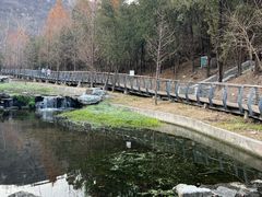-白水寺森林公园