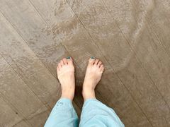 -上海吴淞炮台湾国家湿地公园