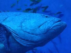 -成都浩海立方海洋公园