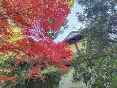 -汇龙潭