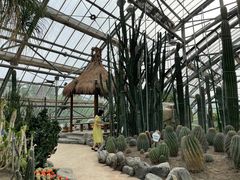 -南山植物园