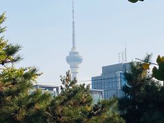 -玲珑塔公园
