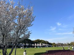 -昆山城市生态森林公园