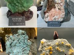 -中国地质大学逸夫博物馆