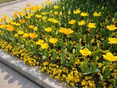 -杭州师范大学(下沙校区)