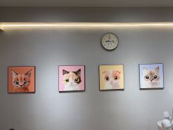 -洗脸猫·洗脸吧