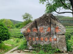 -龙坞茶村