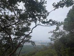 -紫金山山顶公园