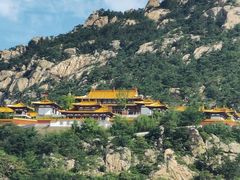 -招虎山国家森林公园-售票处