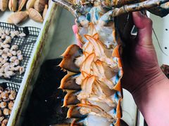 -大湾区中央湿地公园-十九涌
