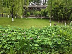 -沐仙湖湿地公园