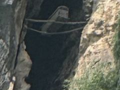 -神农溪纤夫文化旅游区