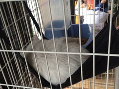 -熊猫邮局(少城店)