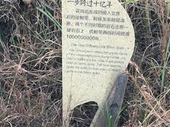 -嵖岈山风景区