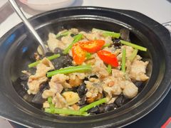 -谭厨中山传家菜.乳鸽.脆鲩鱼(华强北中航城店)