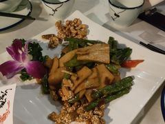 -云中小雅