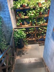 -T.1 hair salon烫染接发