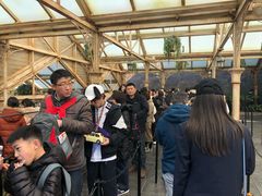 -哈利波特魔法世界