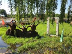 -长兴太湖图影湿地文化园