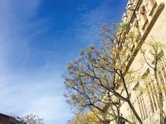 -瓦伦西亚大教堂