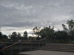 -东郊湿地公园